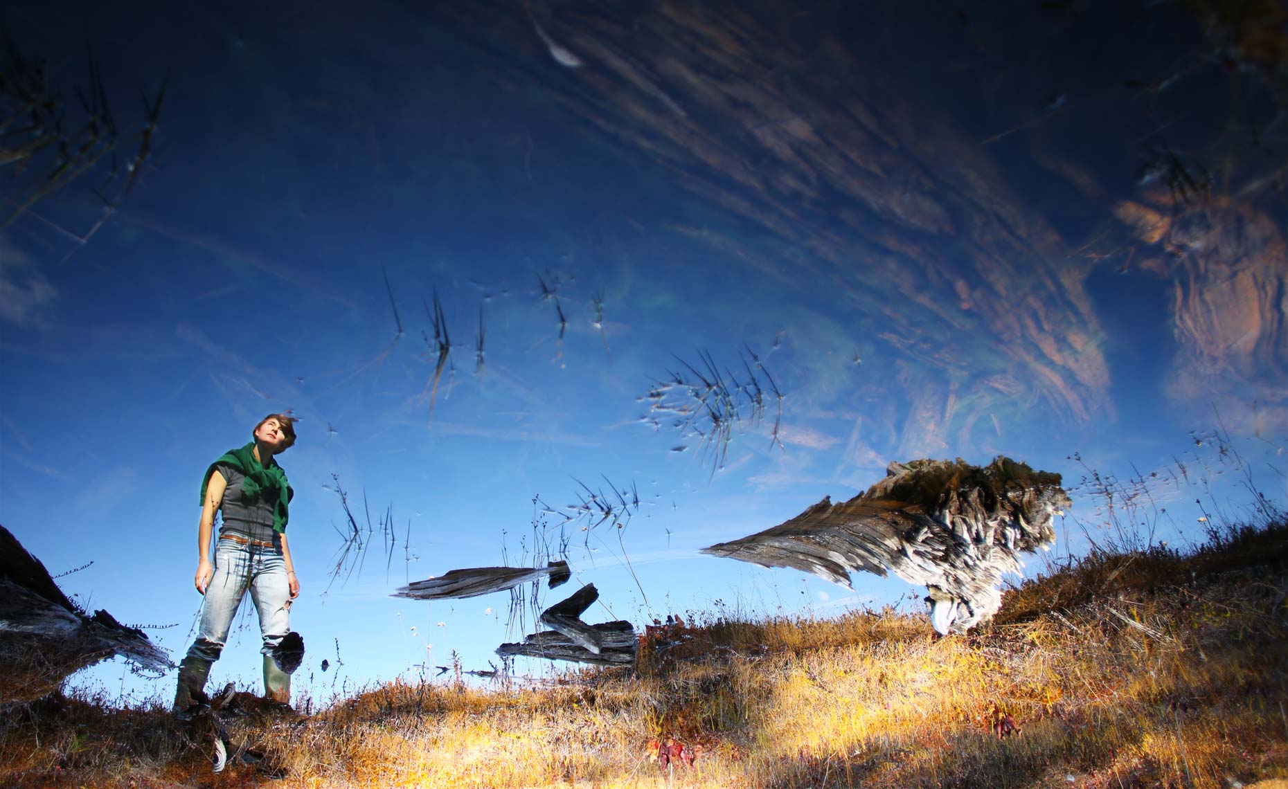 Olson Bog